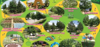 Путешествие в лес с незабудкой